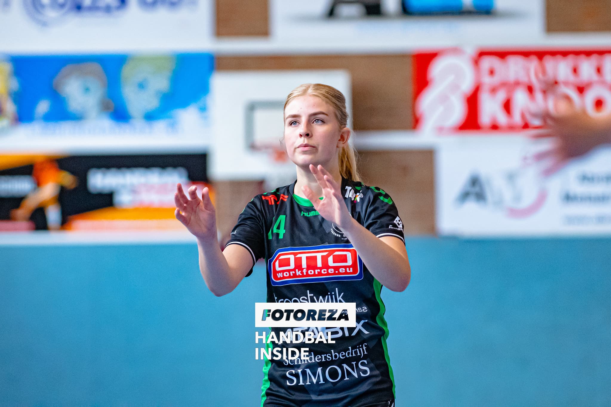Lynn Kuipers