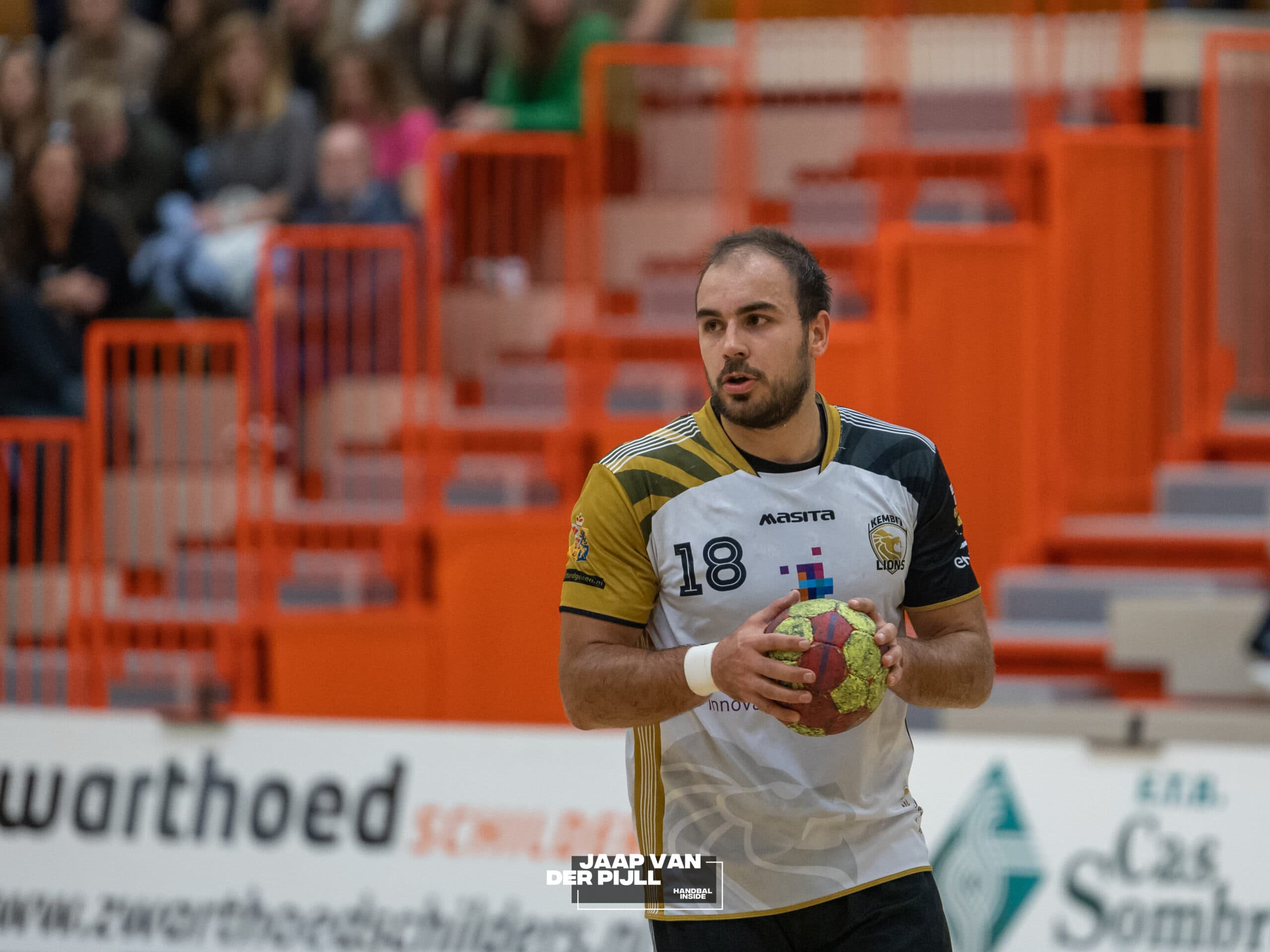 Ivo Steins LIONS