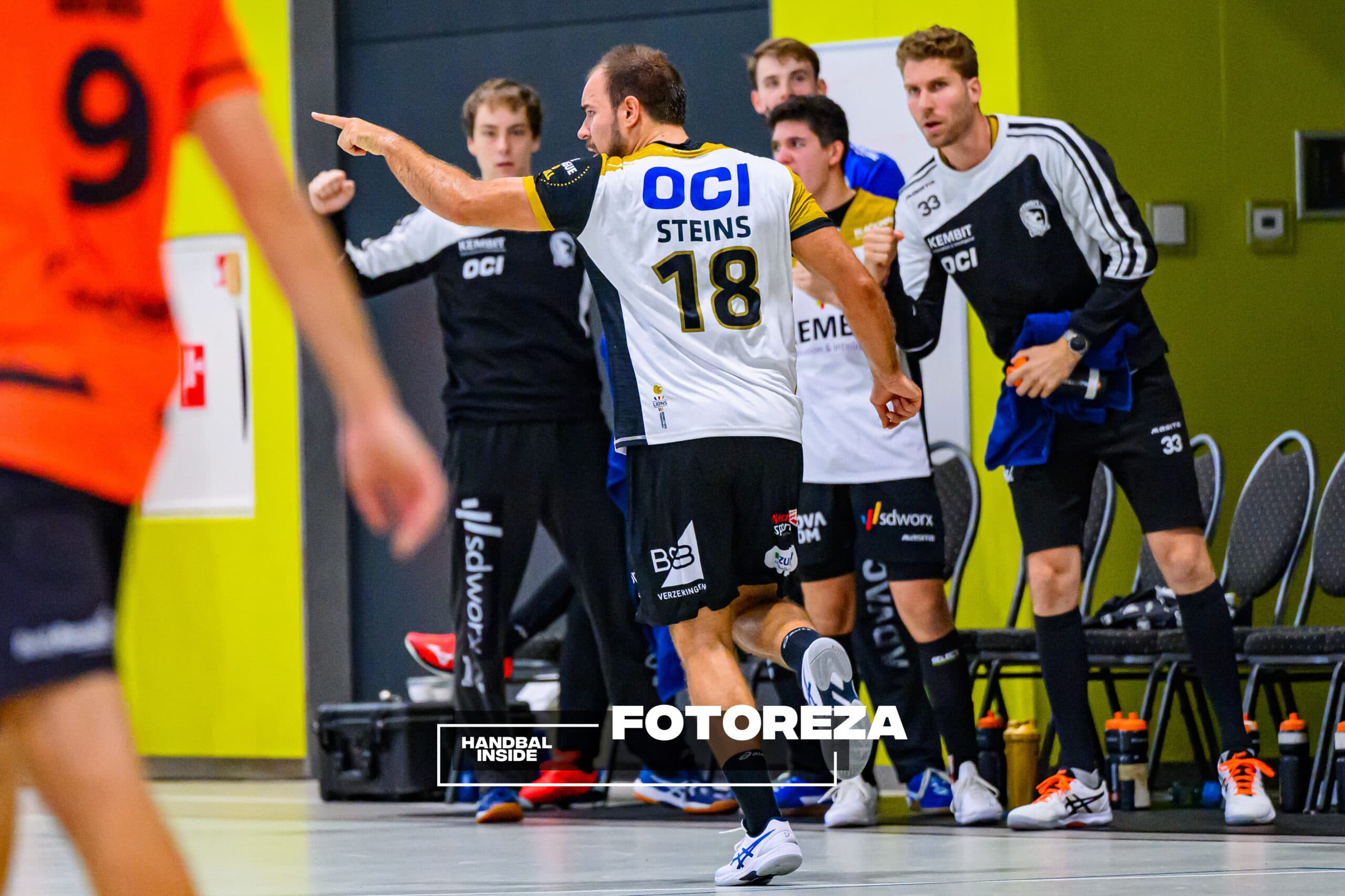 Ivo Steins LIONS
