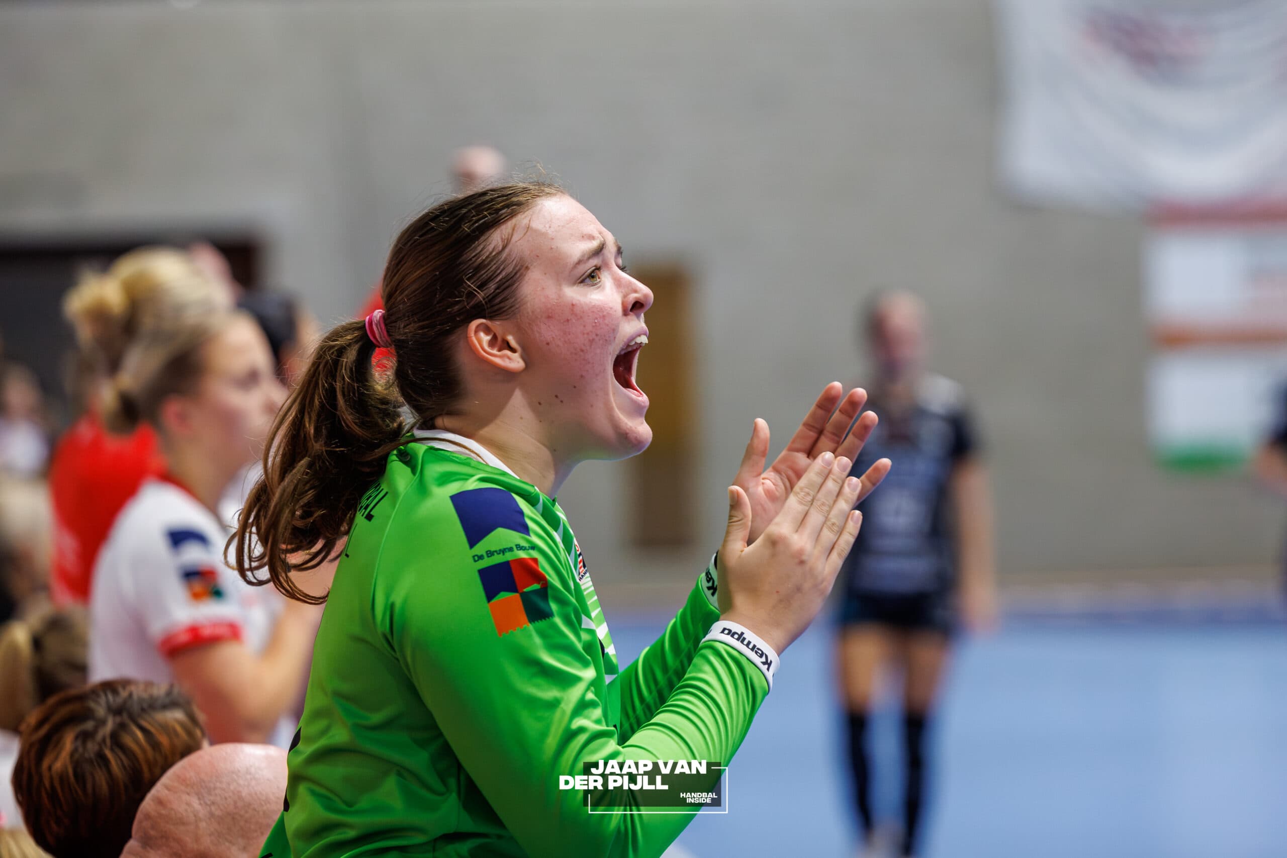 Anne de Boer VZV