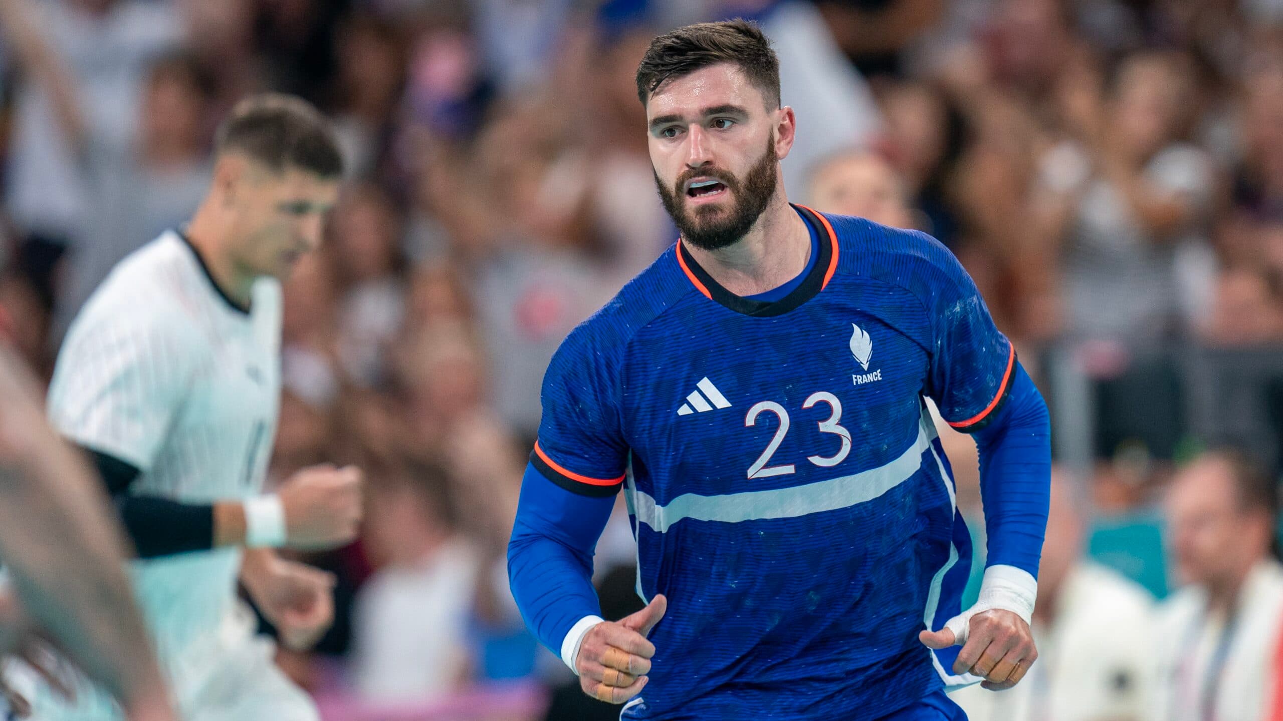 Fabregas Frankrijk