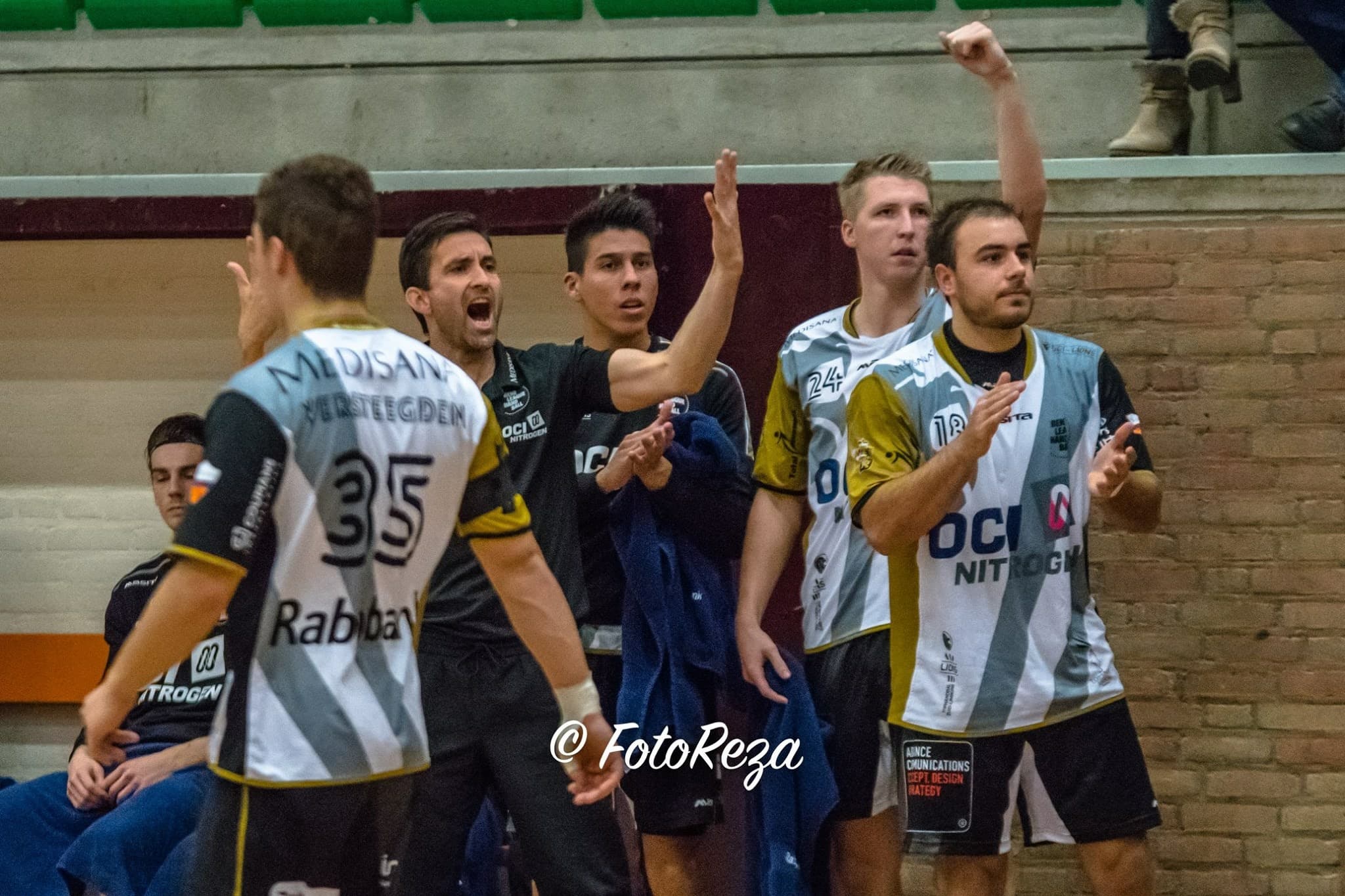 LIONS Schmetz