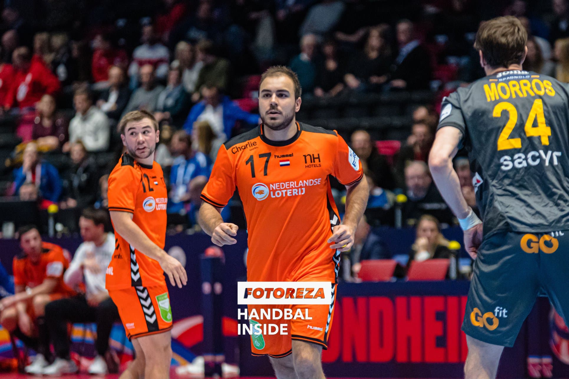 Ivo Steins Oranje