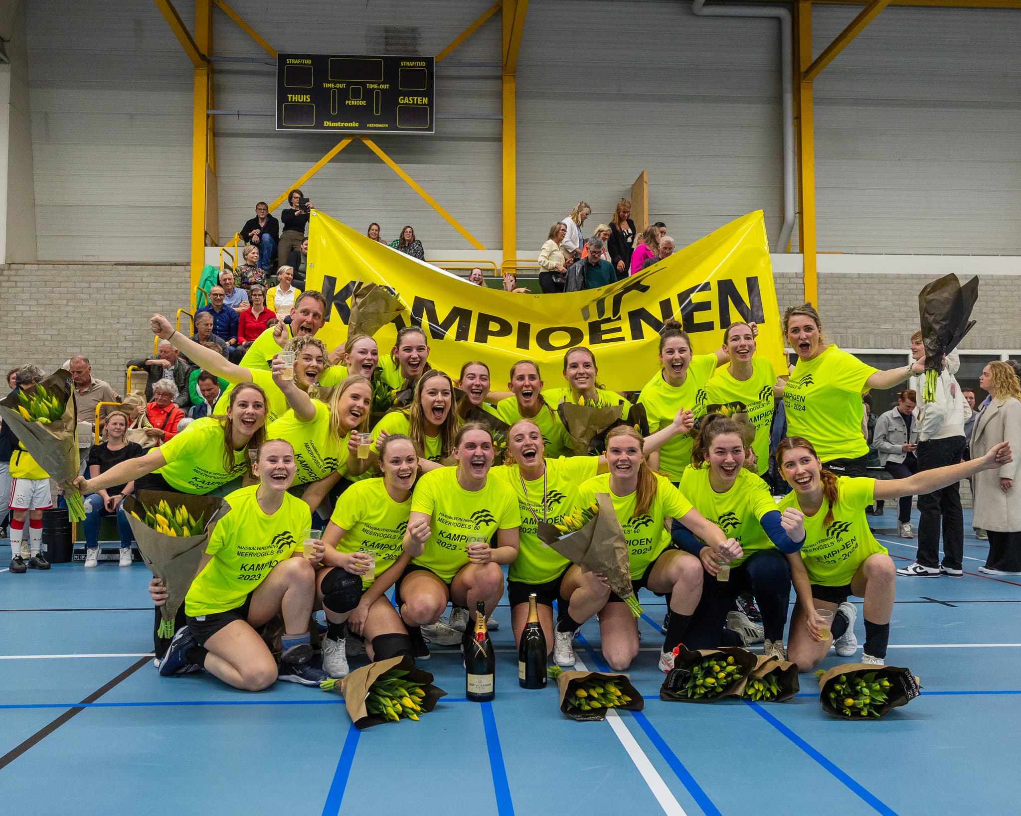 Meervogels '60