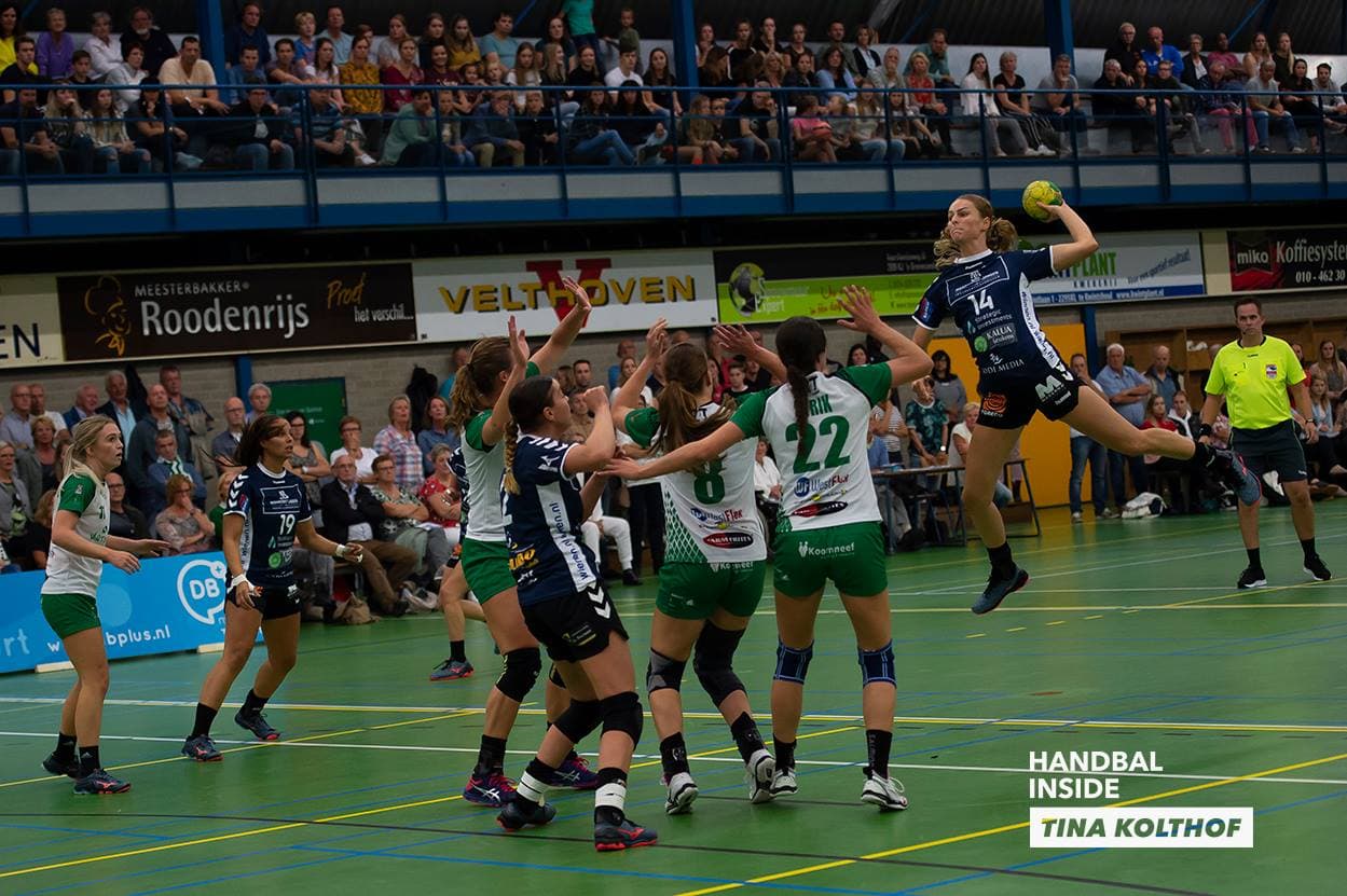 Nienke de Wild Dalfsen Quintus