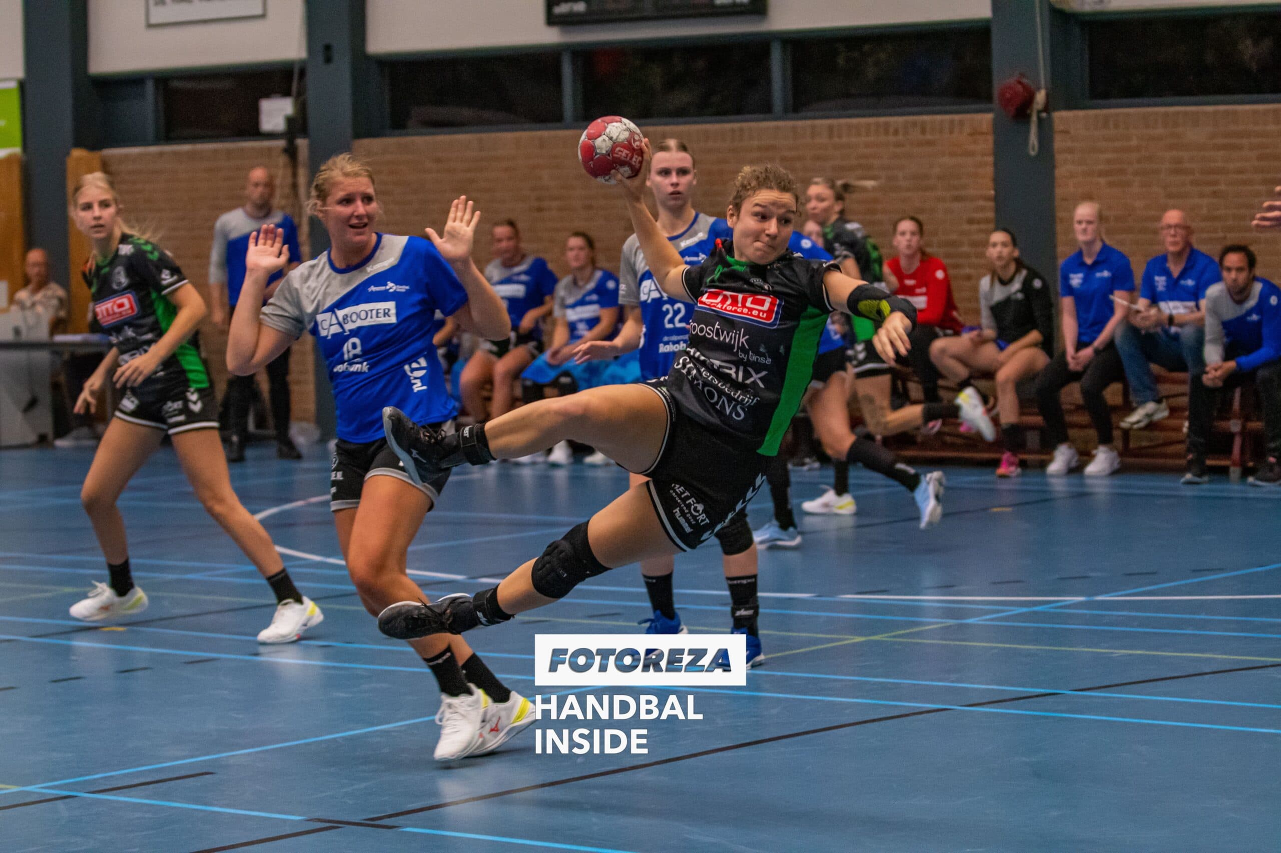 Pipy Wolfs VOC