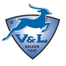 Vlug en Lenig logo