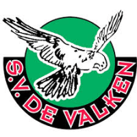 Valken logo