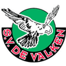 Valken logo