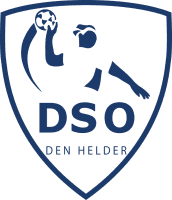 DSO logo