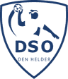 DSO logo