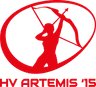 Sani4all/ HV Artemis '15 logo