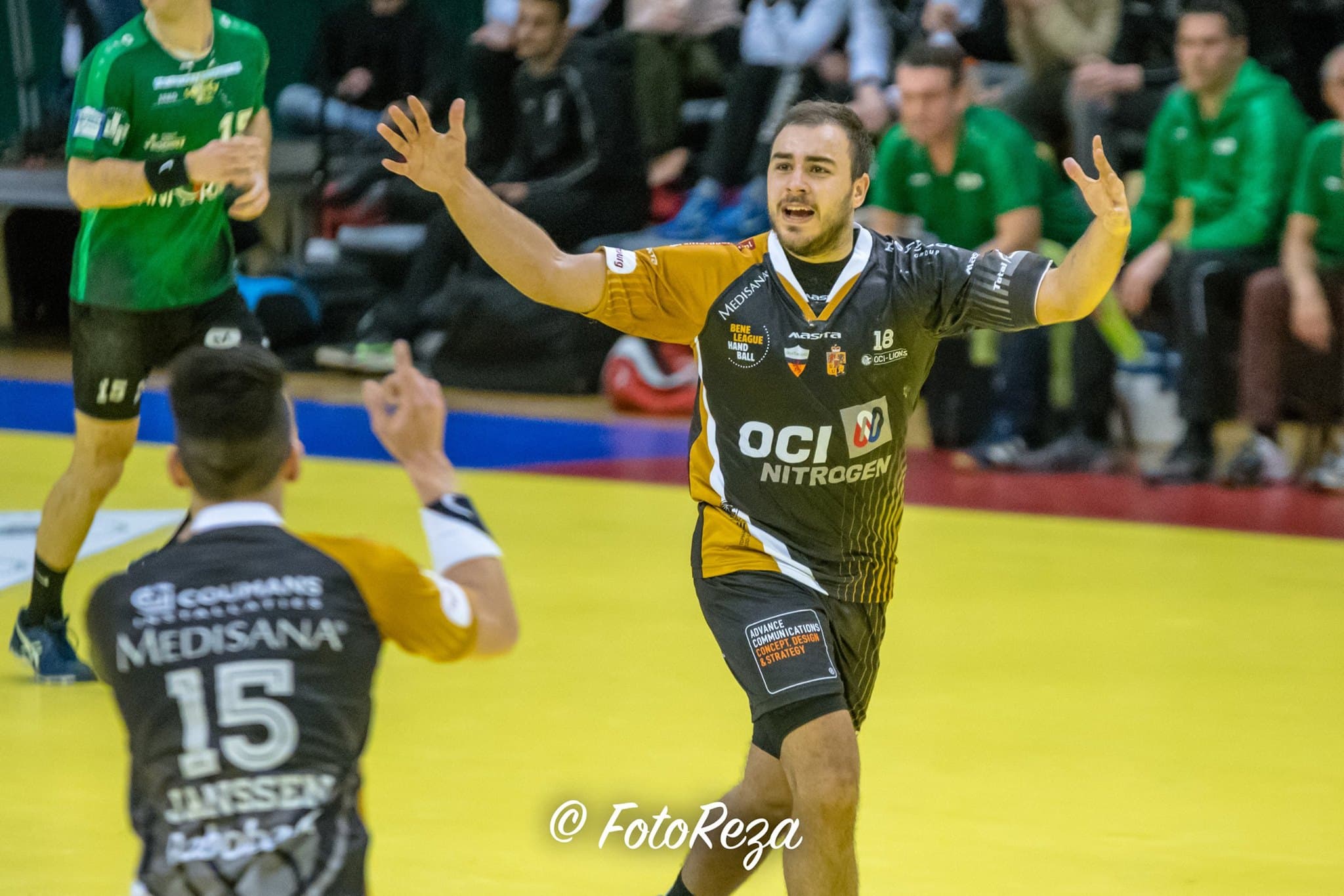 Ivo Steins LIONS