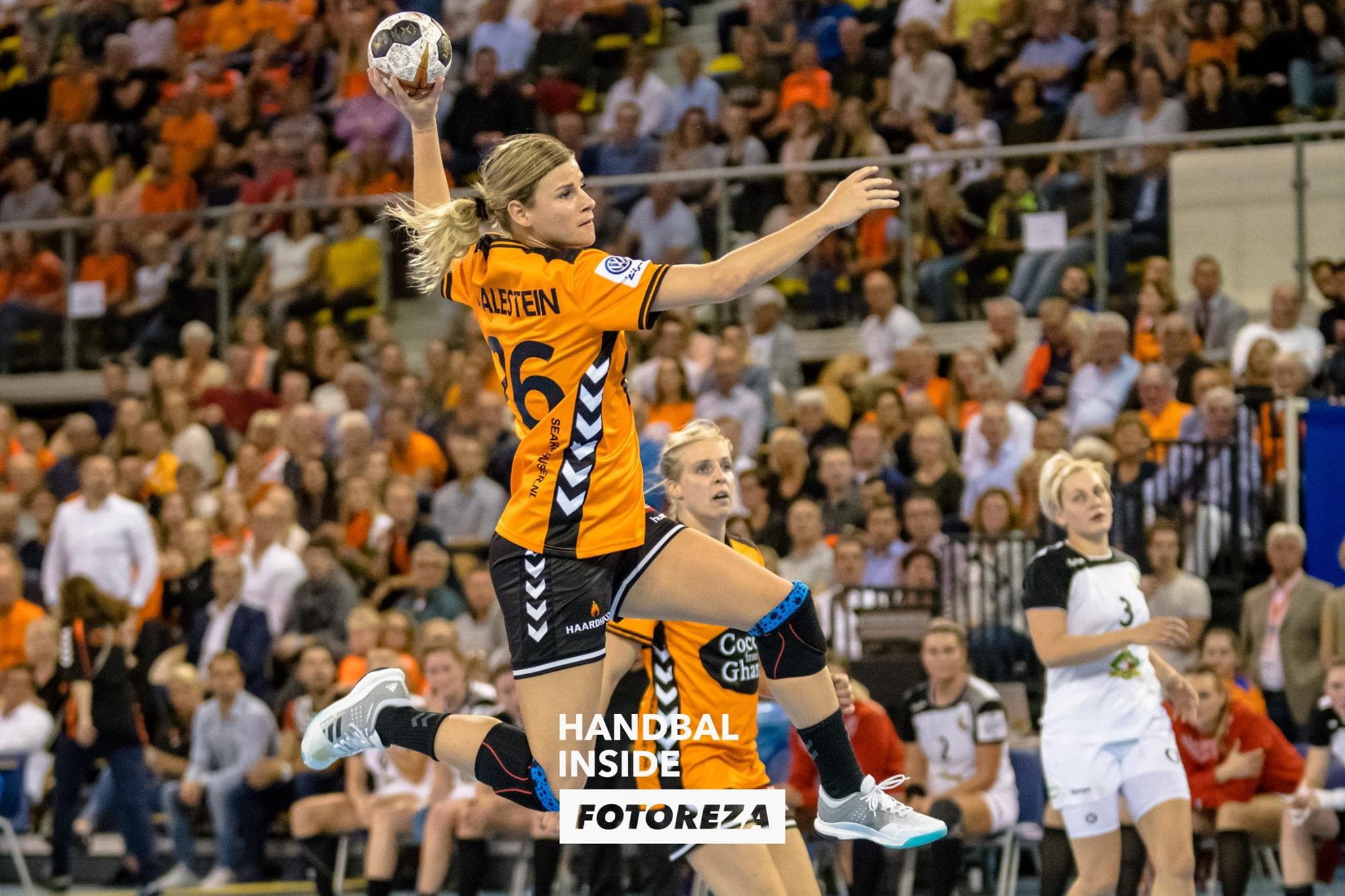 Malestein Oranje