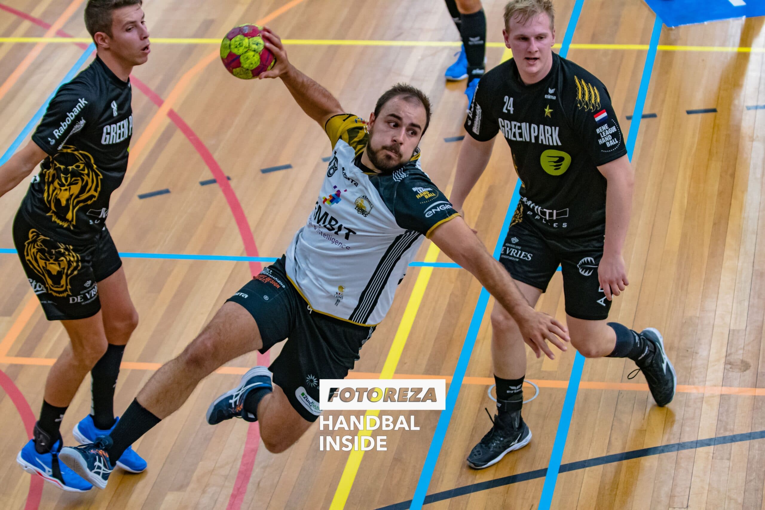 Ivo Steins LIONS
