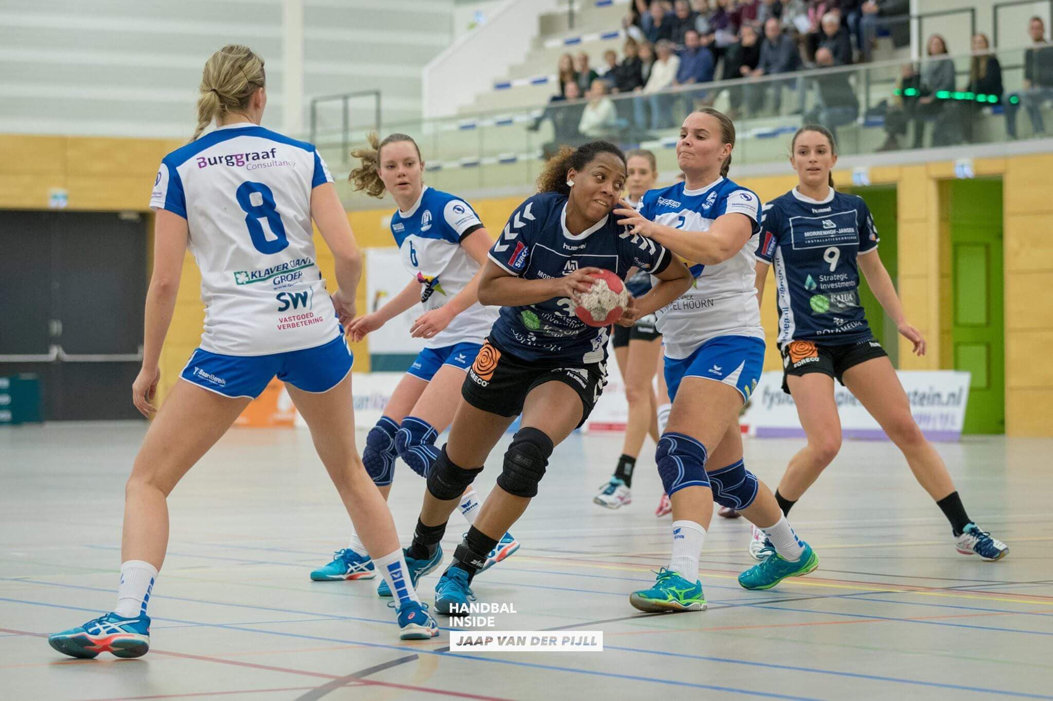 Nooitmeer Dalfsen