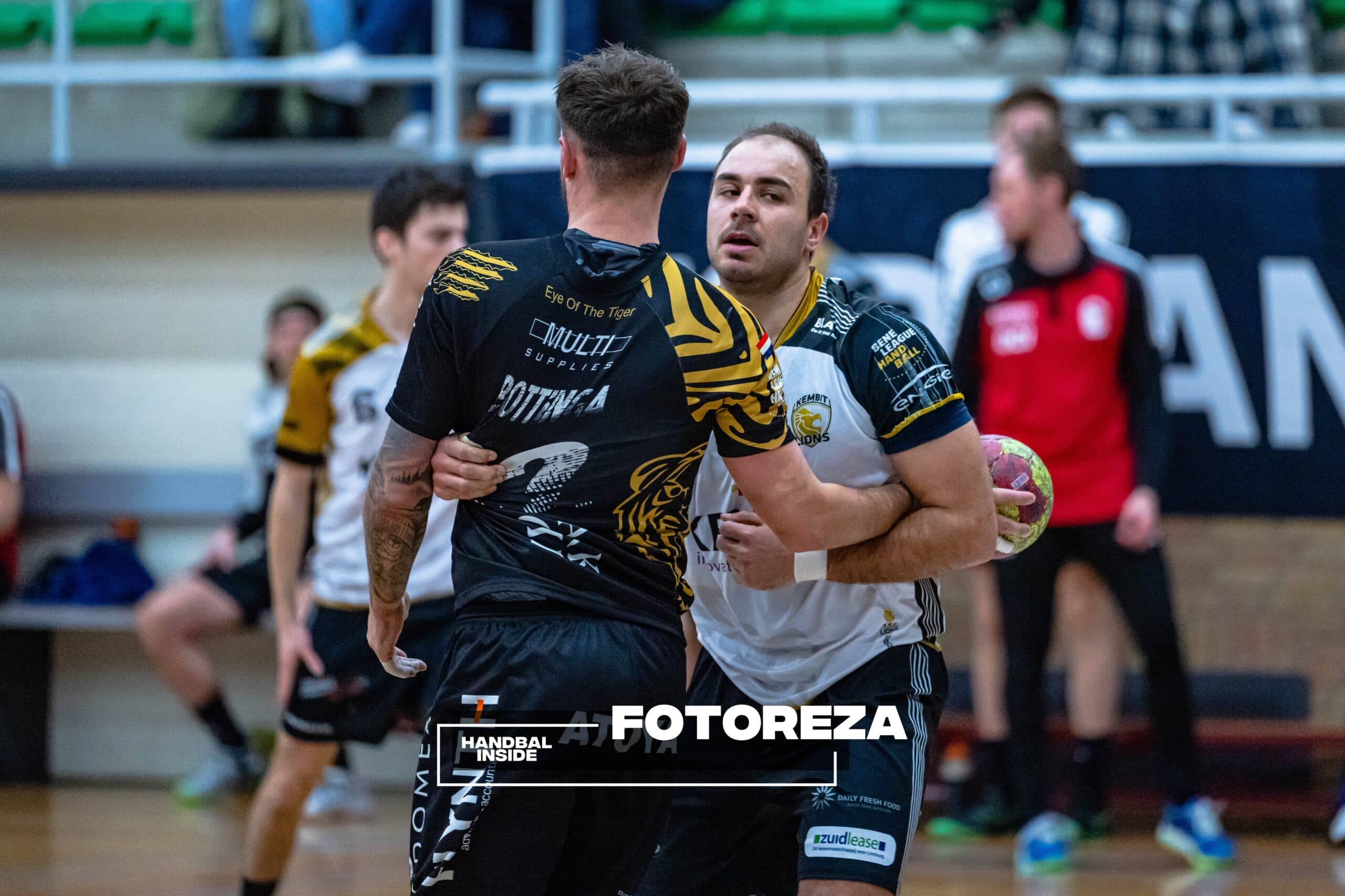 Ivo Steins LIONS