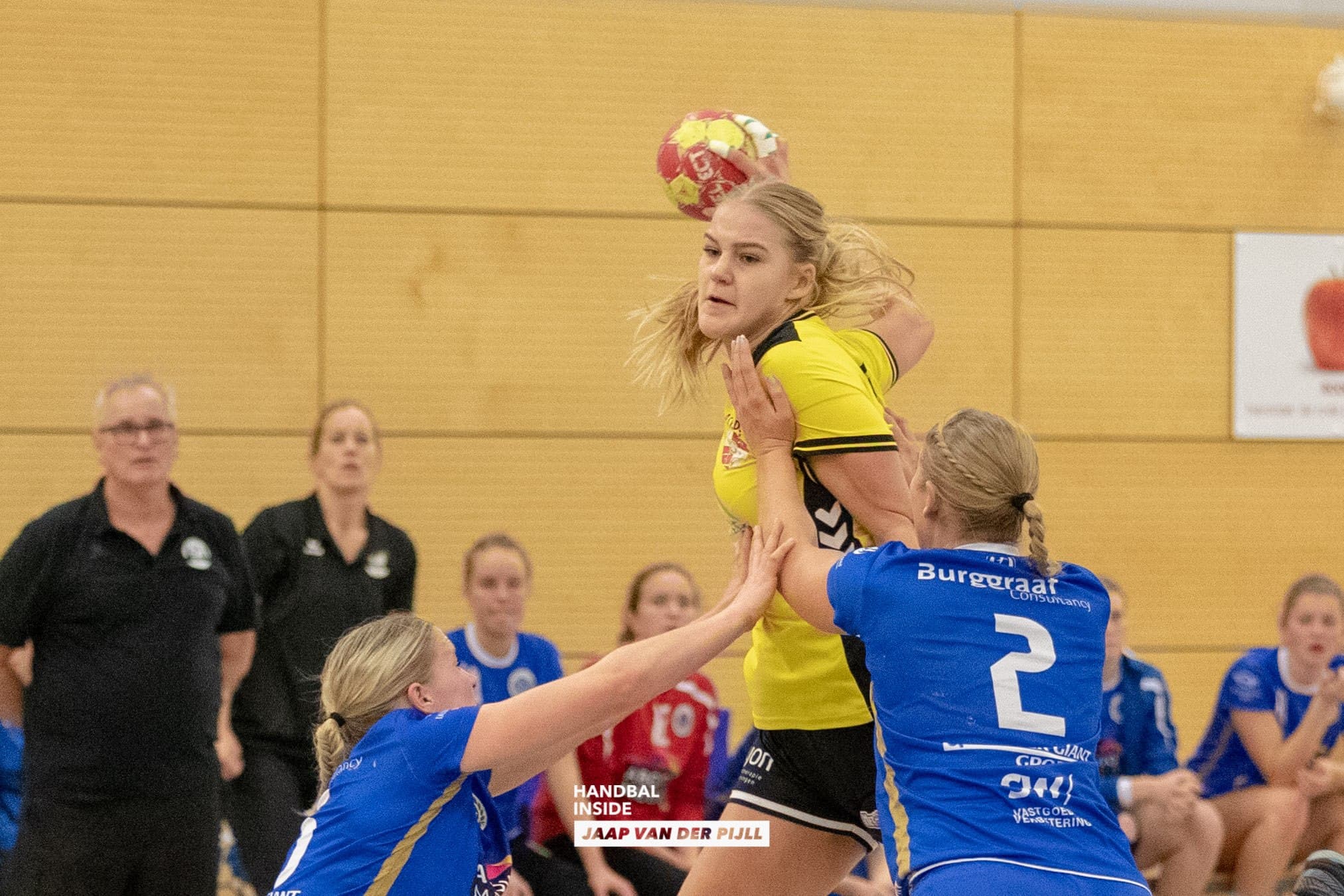 DSVD