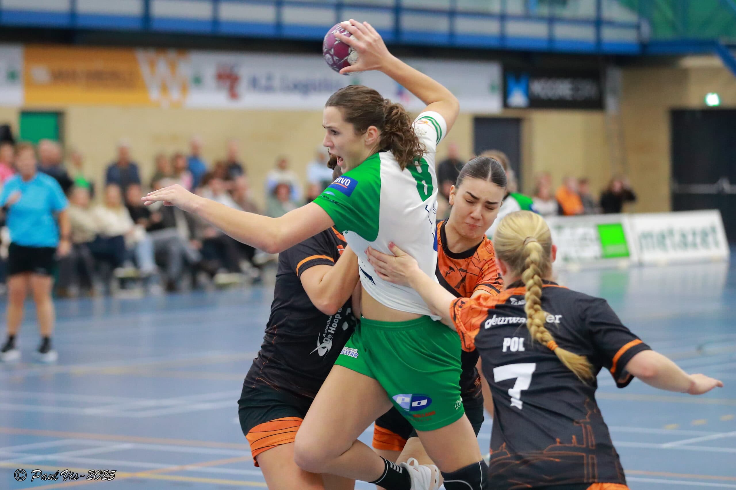 Gedy de Raaf Quintus
