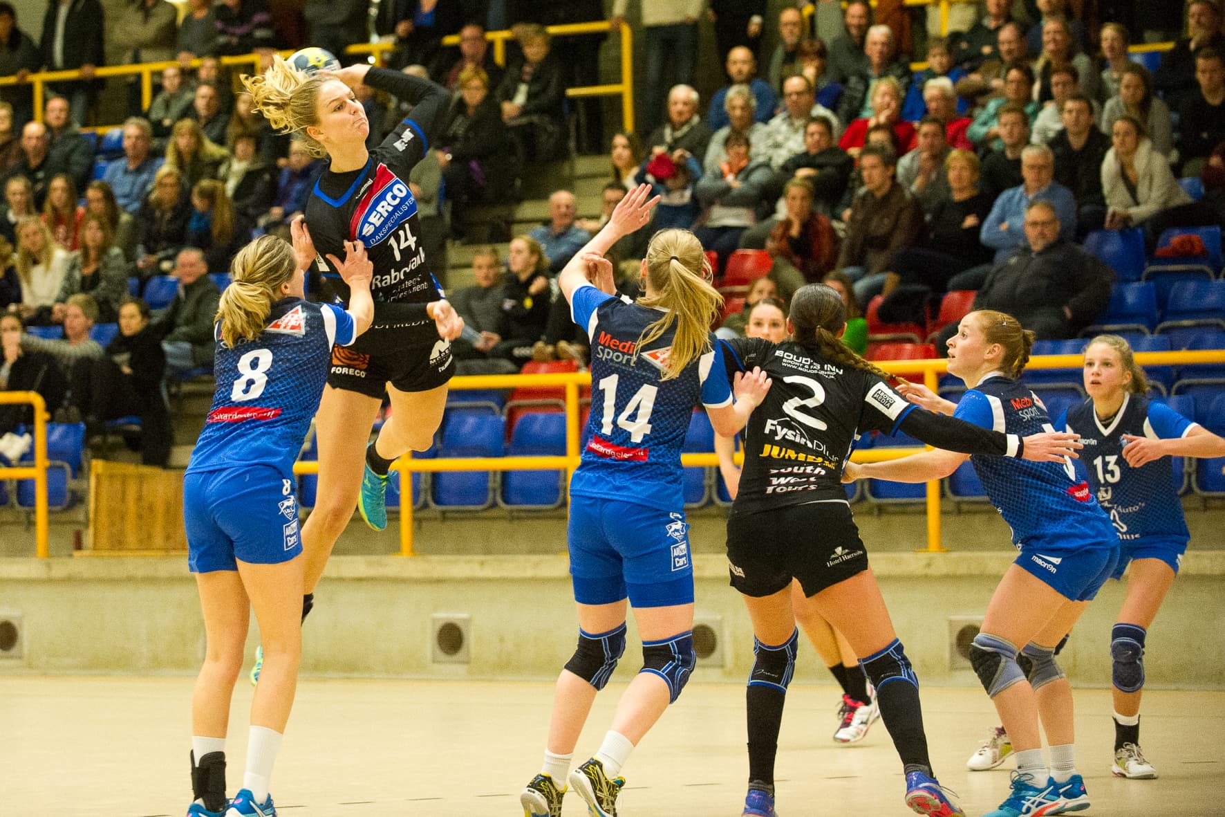 De Wild Dalfsen
