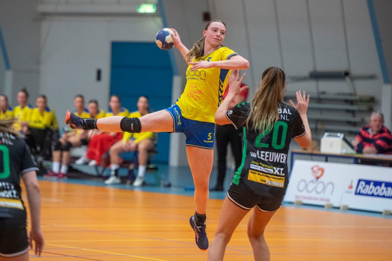 Veerle Heebing